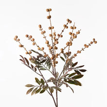Load image into Gallery viewer, Longan Spray 74cm