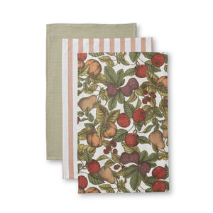 Orchard Multi Teatowel Pack