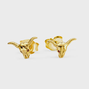 Rodeo Skull studs Gold